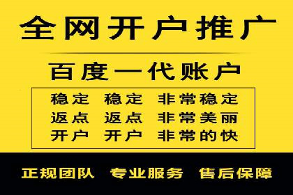 解析百度搜索推广的广告投放策略及效果